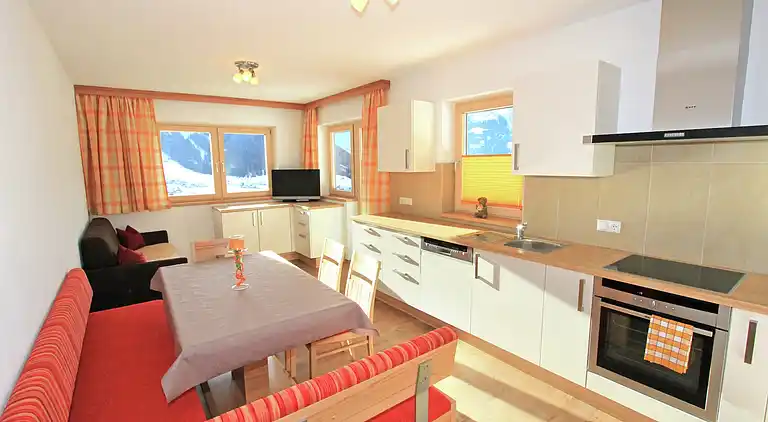 Apartment in Gerlosberg