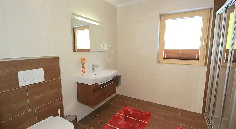 Apartment in Gerlosberg