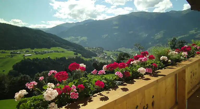 Apartment in Gerlosberg