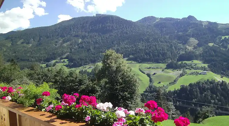 Apartment in Gerlosberg