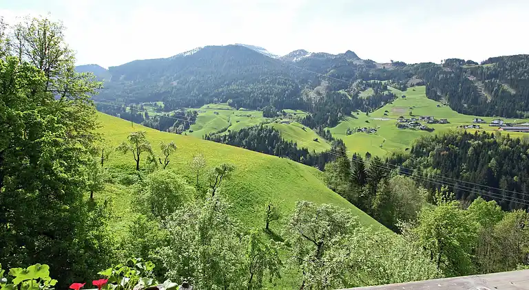 Gårdhus i Gerlosberg