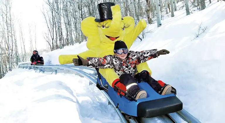 Cottage in Gerlosberg