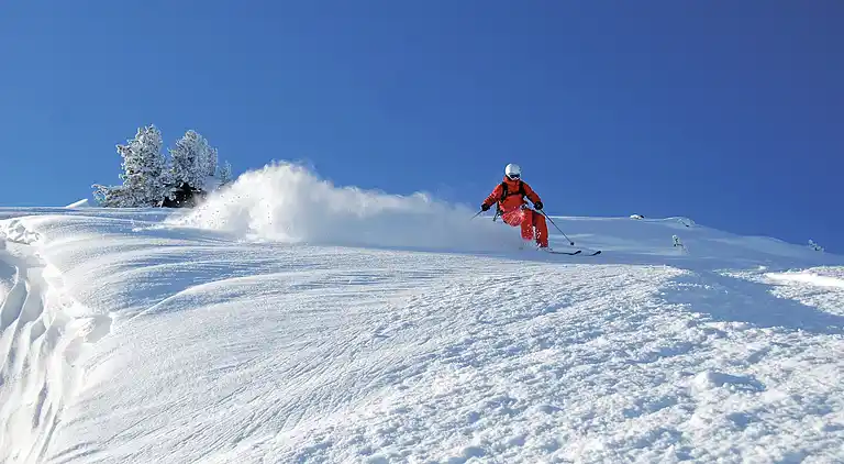 Ferielejlighed i Ramsau im Zillertal