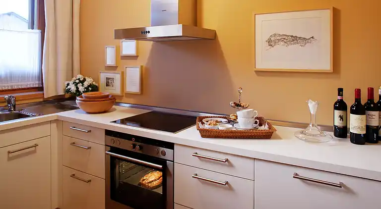 Apartment in Ramsau im Zillertal