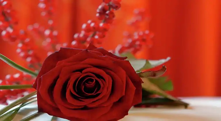 Apartment in Hoarberg