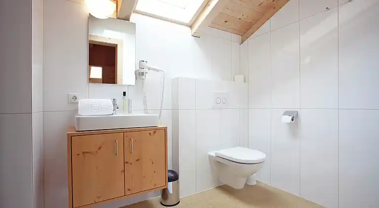 Apartment in Ramsau im Zillertal