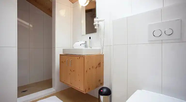 Apartment in Ramsau im Zillertal