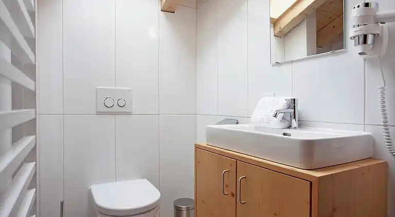 Apartment in Ramsau im Zillertal