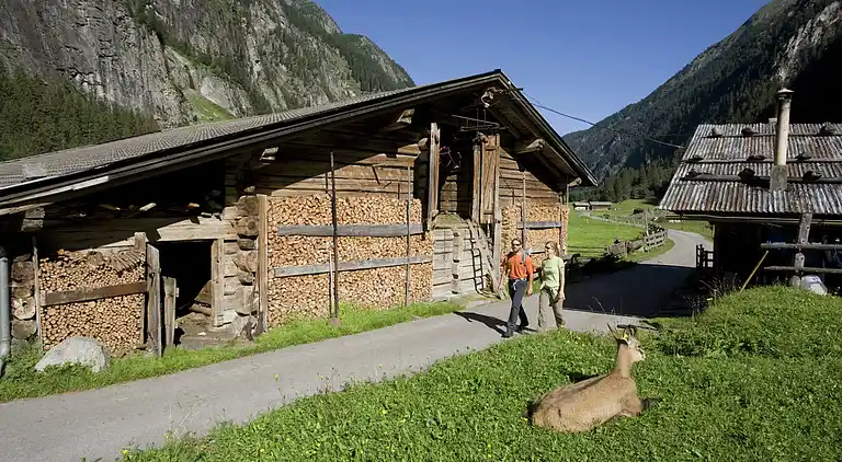 Lägenhet i Ramsau im Zillertal