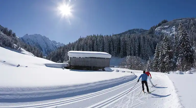 Lägenhet i Ramsau im Zillertal