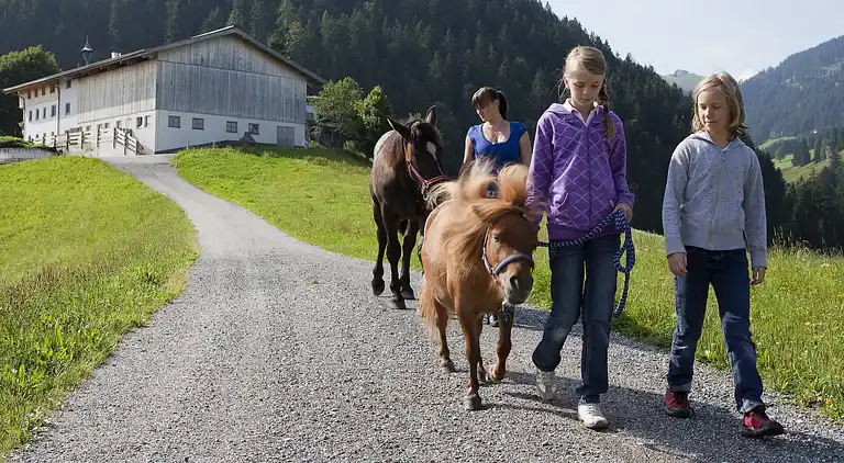 Manor house in Söll