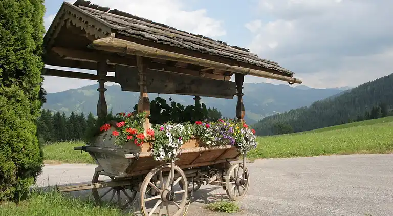 Cottage in Thierbach