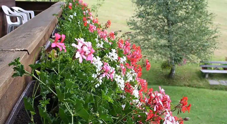 Ferielejlighed i Grafenweg