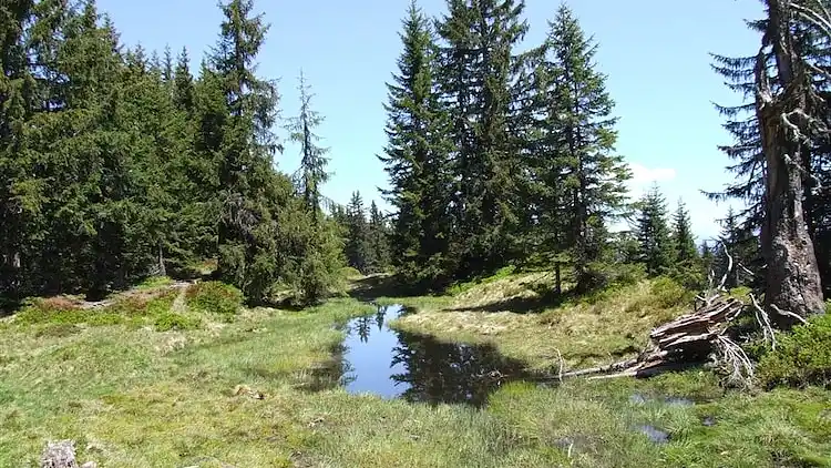 Ferielejlighed i Grafenweg