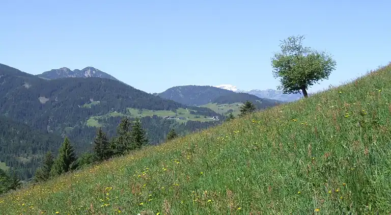 Apartment in Niederau
