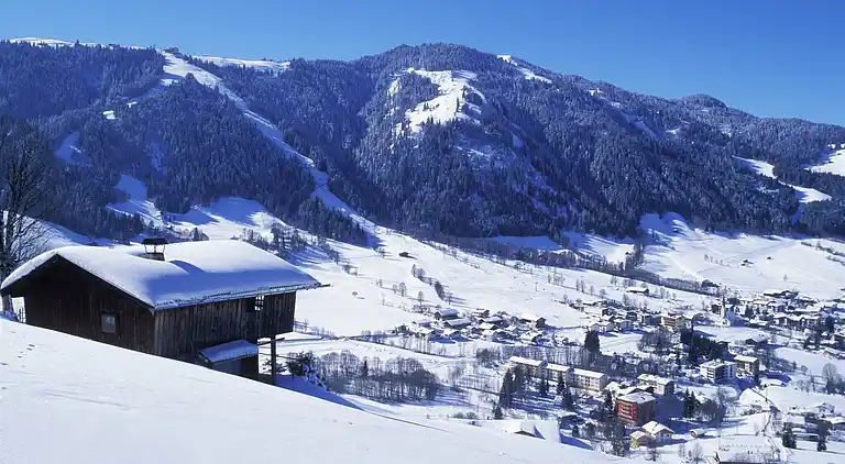 Apartment in Niederau