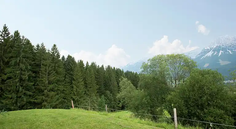 Ferielejlighed i Ellmau