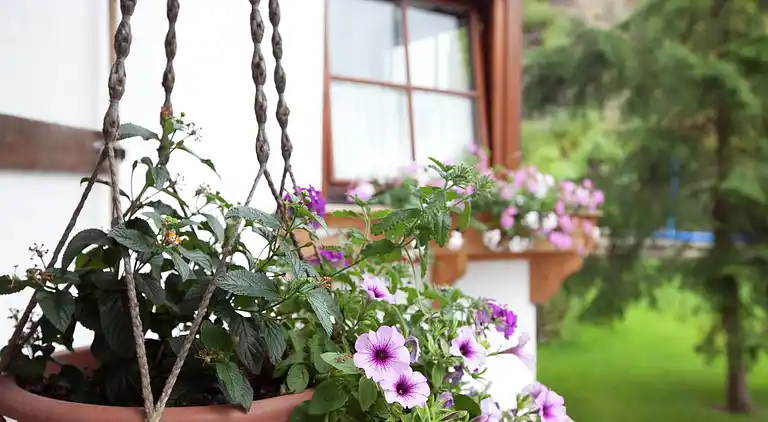 Apartment in Going am Wilden Kaiser