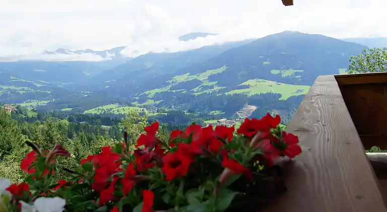 Cottage in Salvenberg