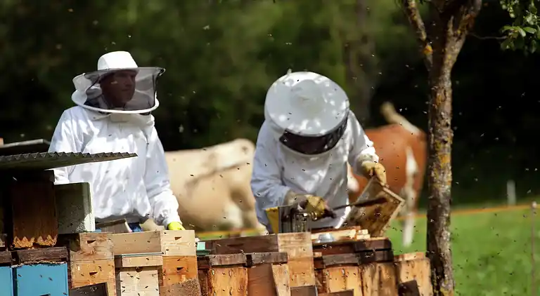 Cottage in Salvenberg