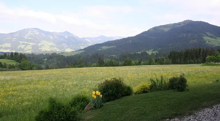 Ferielejlighed i Penningberg