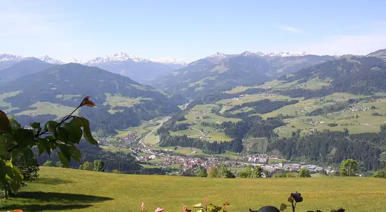 Cottage in Salvenberg