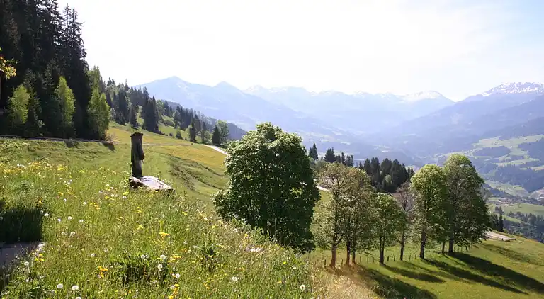 Cottage in Salvenberg