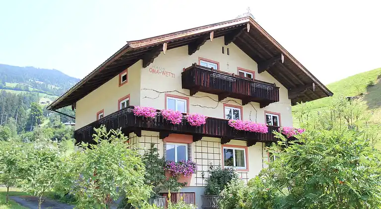 Apartment in Hopfgarten-Markt