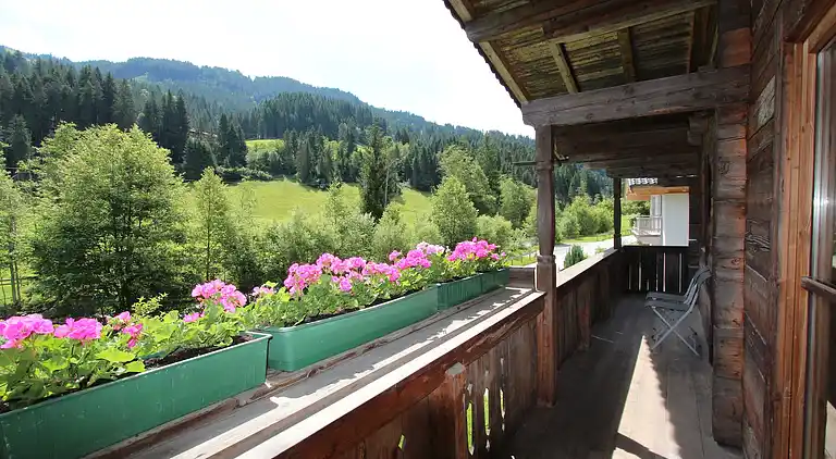 Feriebolig i Kelchsau