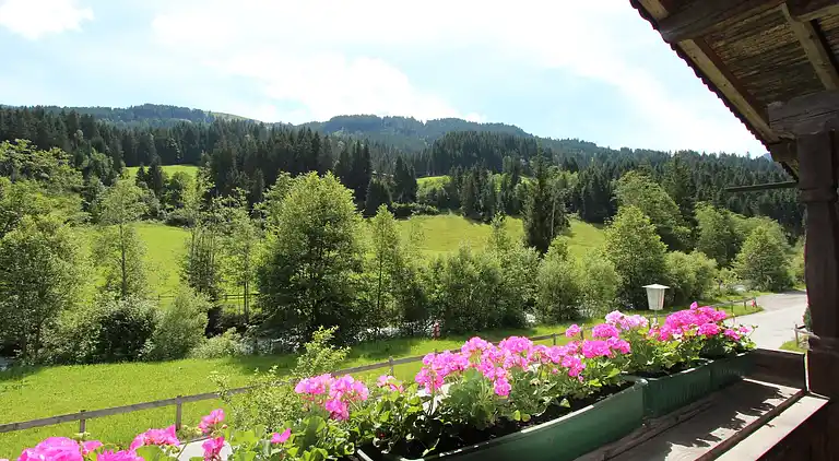 Feriebolig i Kelchsau