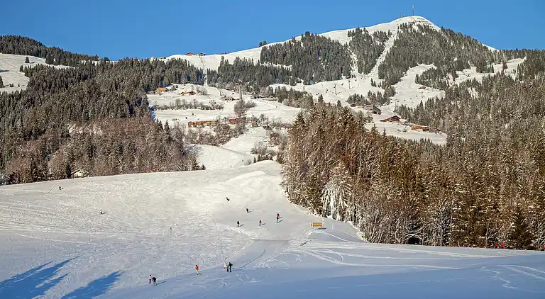 Apartment in Salvenberg