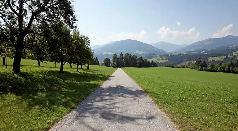 Apartment in Salvenberg