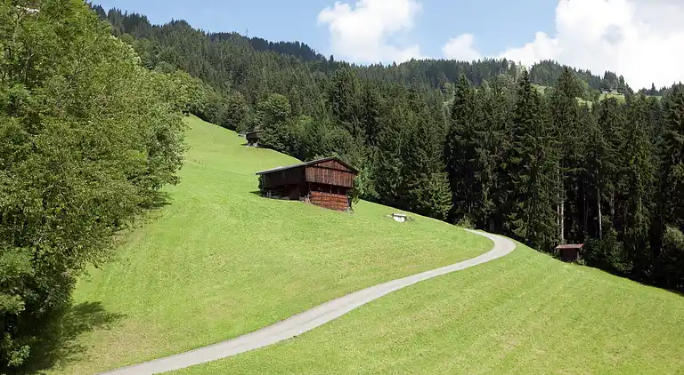 Apartment in Salvenberg