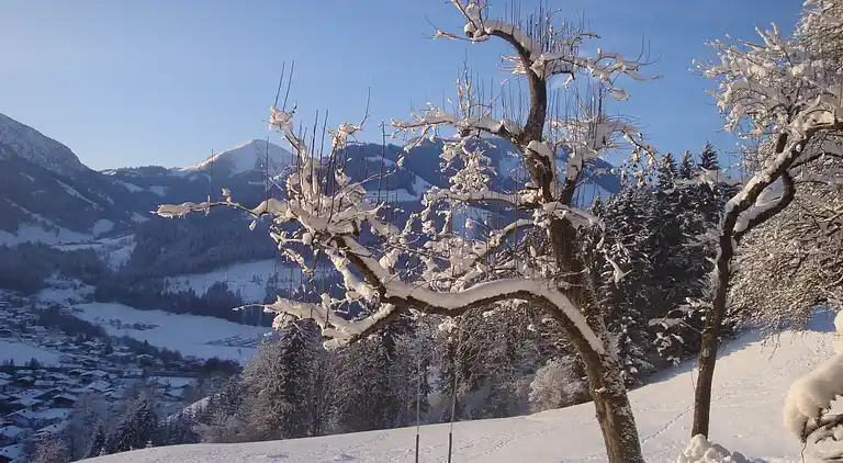 Ferielejlighed i Sonnberg