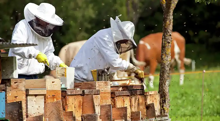 Apartment in Lauterbach