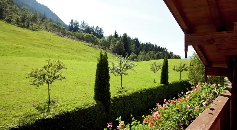 Apartment in Kirchberg in Tirol