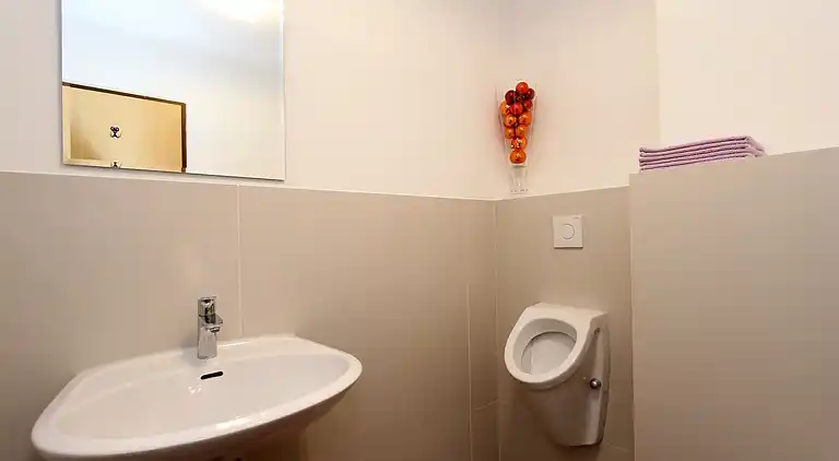 Manor house in Kirchberg in Tirol