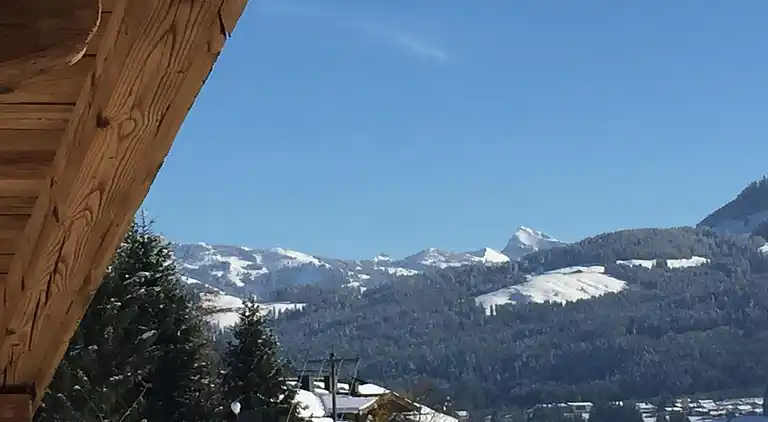 Cottage in Kirchberg in Tirol