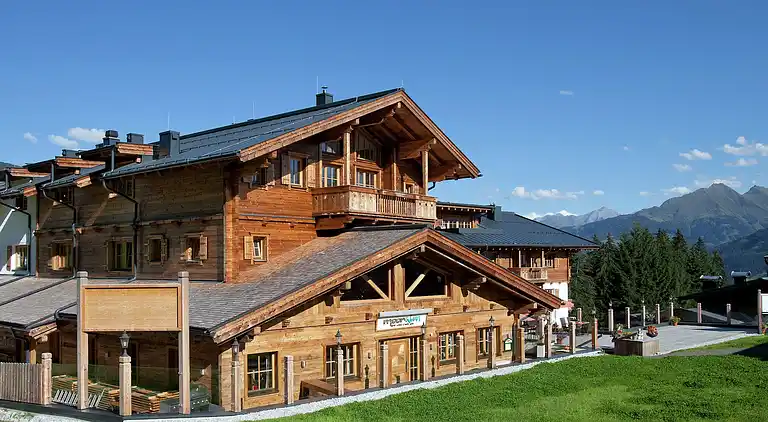 Apartment in Mittersill