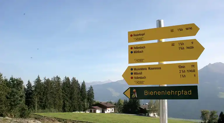 Apartment in Mittersill