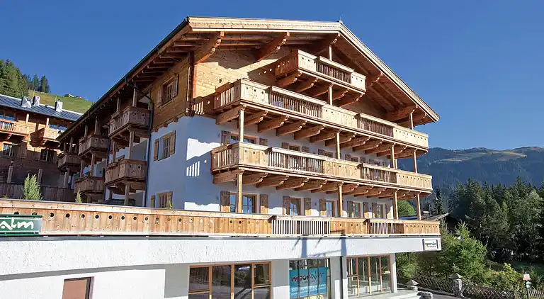 Apartment in Mittersill