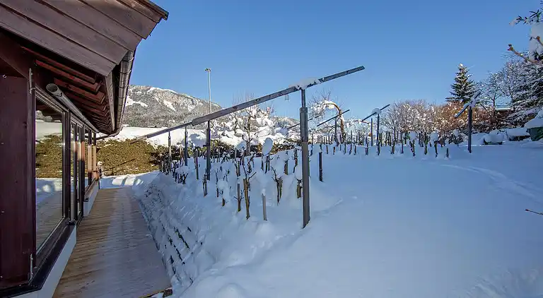 Apartment in Sankt Johann in Tirol