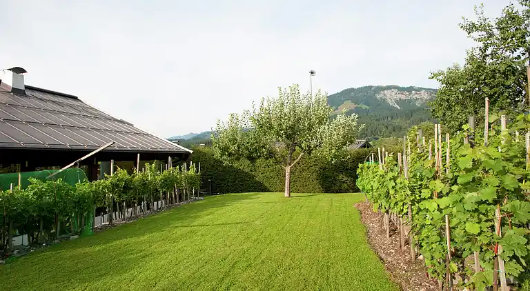 Ferielejlighed i Sankt Johann