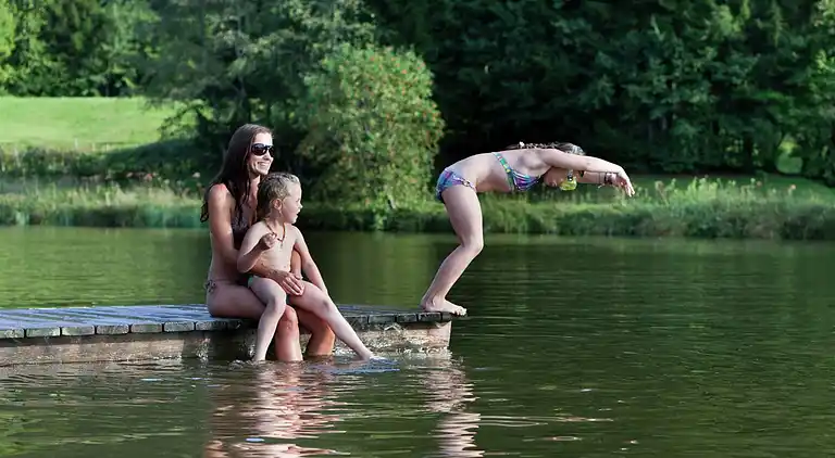 Apartment in Waidring