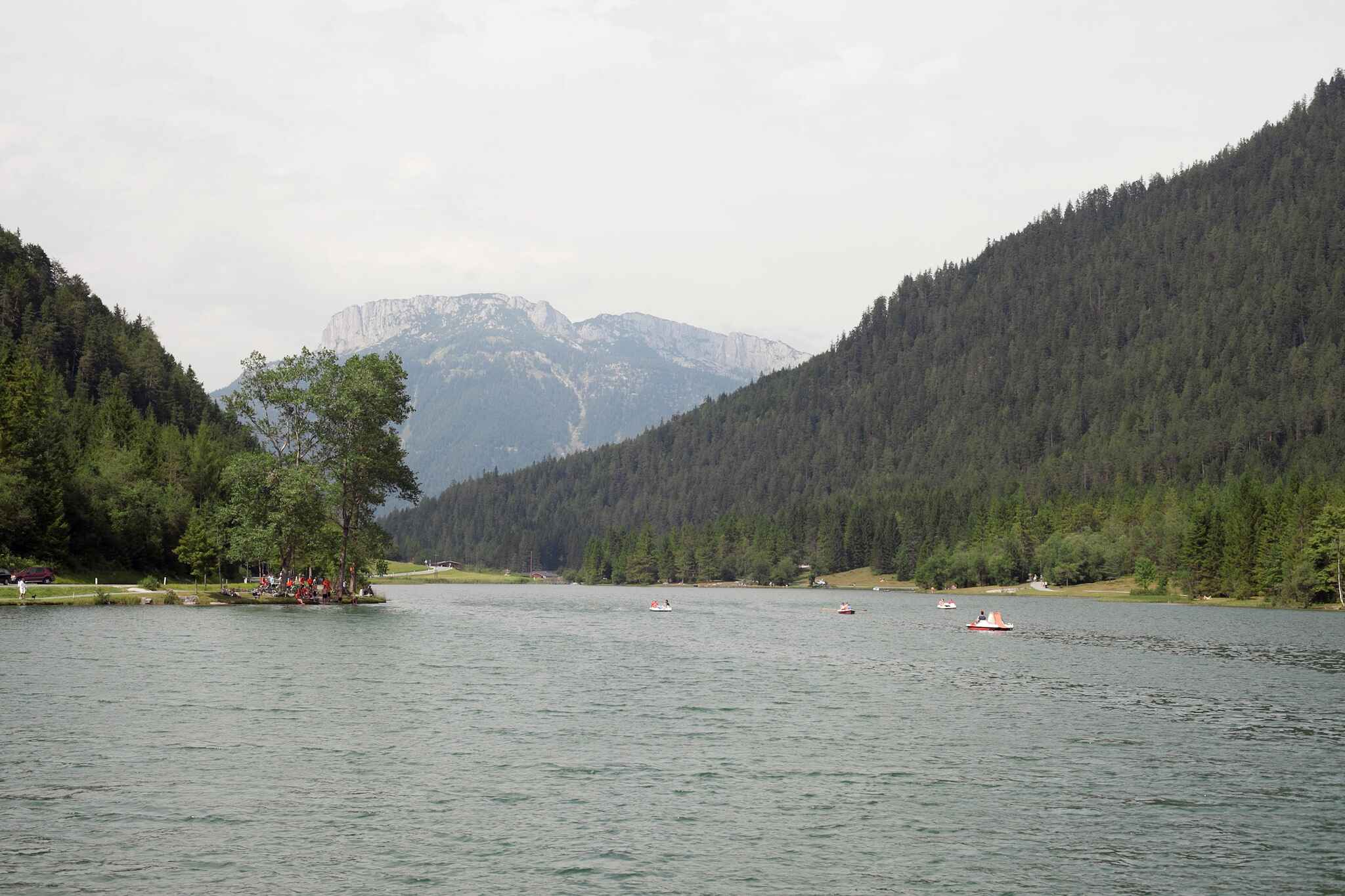 Large Image