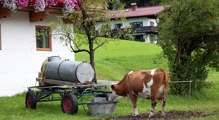 Hytte i Sankt Jakob in Haus