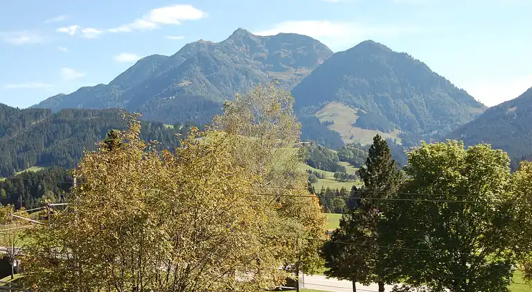 Leilighet i Fieberbrunn