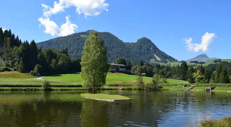 Leilighet i Fieberbrunn