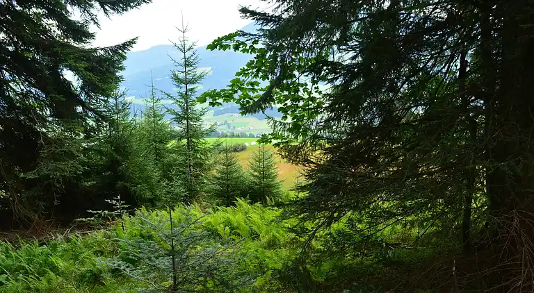 Feriebolig i Fieberbrunn