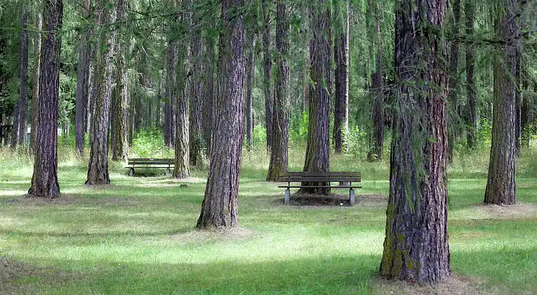 Apartment in Oberlängenfeld